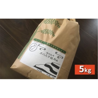 【令和4年産】信州名月　オバステ観月米　5kg
