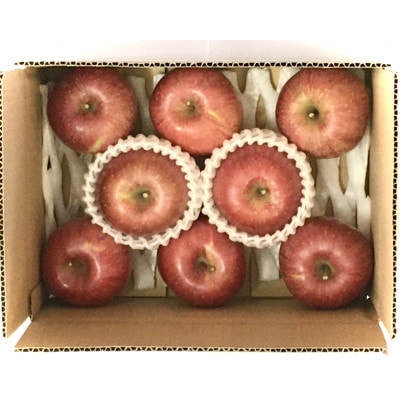 ザ・王道 りんご サンふじ　約2kg