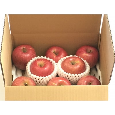 ザ・王道 りんご サンふじ　約2kg