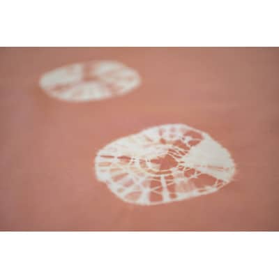 千曲染 のれん(あんず)オーガニック染め