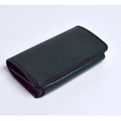 ���h �E �J�[�h���� GVC-110 / ���X�O���[��