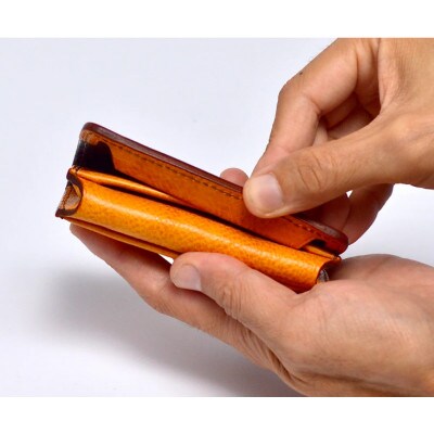 名刺 ・ カード入れ GVC-110 / ブラック