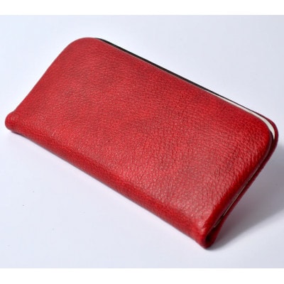 �M�B���v:���܌������z �B������ DDG-100 / ���b�h