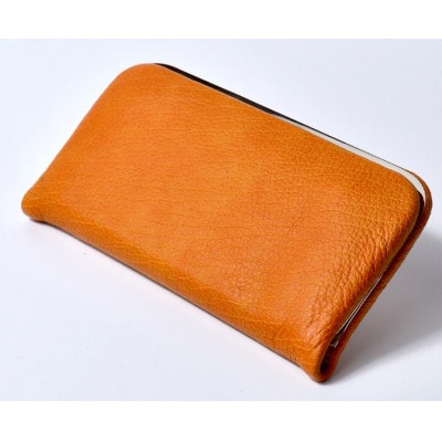 �M�B���v:���܌������z �B������ DDG-100 / �L������