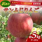 【2025年先行予約】訳あり りんご サンふじ 約5kg(9～20玉)