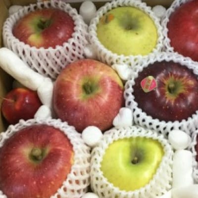 【2026年発送】りんごの宝石箱 信州りんご 詰合せ 約2kg(5～8玉)【品種おまかせ】