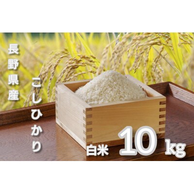 長野県産 こしひかり 精米10kg