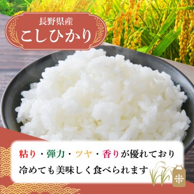 長野県産 こしひかり 精米5kg