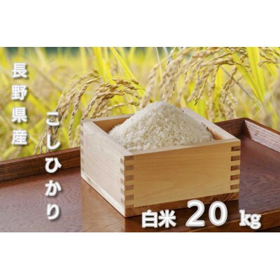 長野県産 こしひかり 精米(米袋10kg×2袋)