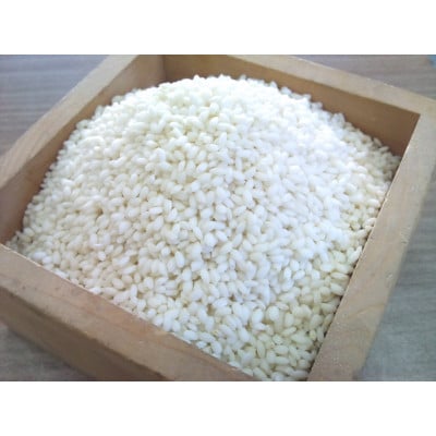長野県産もち米　10kg