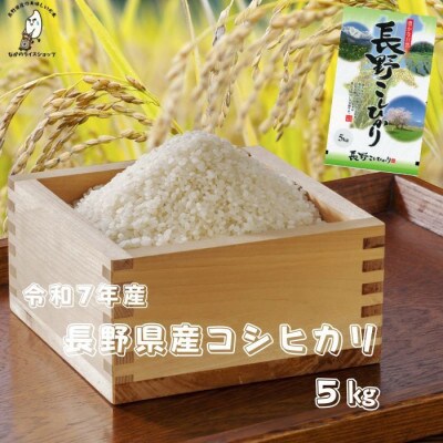 令和7年長野県産 こしひかり 白米5キロ