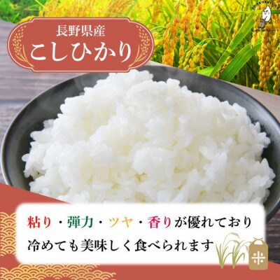 令和7年長野県産 こしひかり 白米5キロ