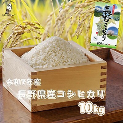 令和7年長野県産 こしひかり 白米10キロ