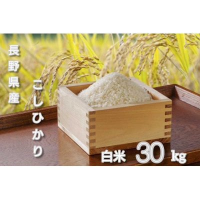 令和7年長野県産 こしひかり 白米30キロ(10キロ×3袋)