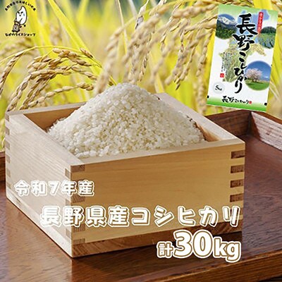 令和7年長野県産 こしひかり 白米30キロ(10キロ×3袋)