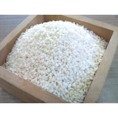 令和7年産 長野県産もち米 もちひかり　1.5kg
