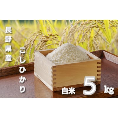 【毎月定期便】長野県産 こしひかり 白米5キロ全2回