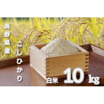 【毎月定期便】長野県産 こしひかり 白米10キロ全2回