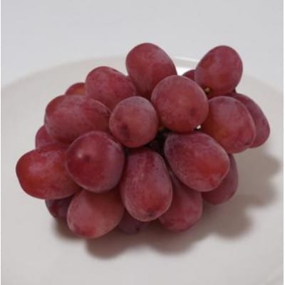 【2026年発送】【訳あり】クイーンルージュ(R)　約2kg　長野県千曲市産