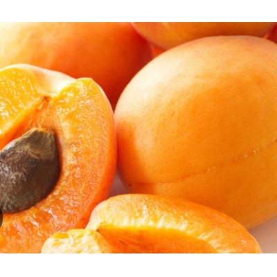 【2026年発送】杏子 ハーコット 約800g