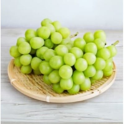 【2026年先行予約】12月発送シャインマスカット　約900g～1kg(2房)