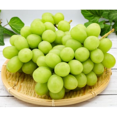 【2026年先行予約】シャインマスカット 約2kg(4～6房 ※最低1.8kg以上)