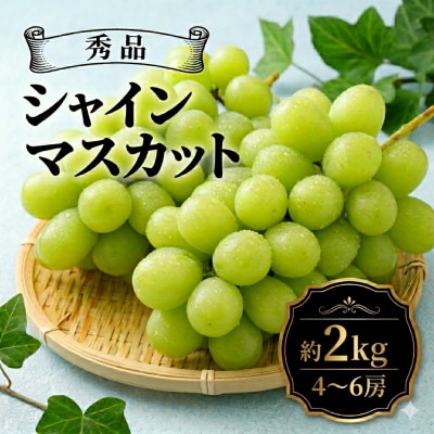 【2026年先行予約】シャインマスカット 約2kg(4～6房 ※最低1.8kg以上)