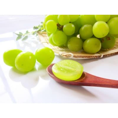 【2026年先行予約】シャインマスカット 約2kg(4～6房 ※最低1.8kg以上)