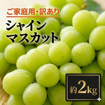 【2026年先行予約】訳あり シャインマスカット 家庭用 約2kg(4～6房 ※最低1.8kg以上)