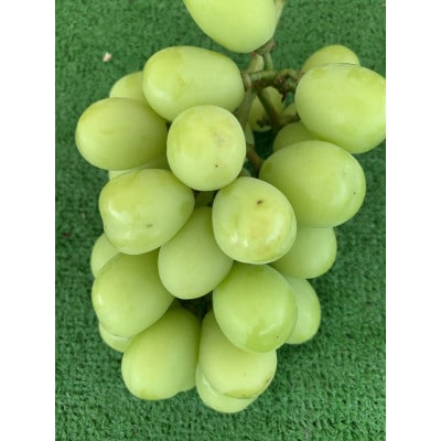 【2026年先行予約】訳あり シャインマスカット 家庭用 約2kg(4～6房 ※最低1.8kg以上)