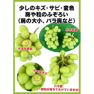 【2026年先行予約】訳あり シャインマスカット 家庭用 約2kg(4～6房 ※最低1.8kg以上)