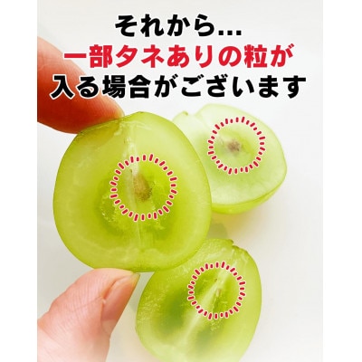 【2026年先行予約】訳あり シャインマスカット 家庭用 約2kg(4～6房 ※最低1.8kg以上)
