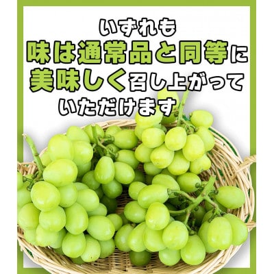 【2026年先行予約】訳あり シャインマスカット 家庭用 約2kg(4～6房 ※最低1.8kg以上)
