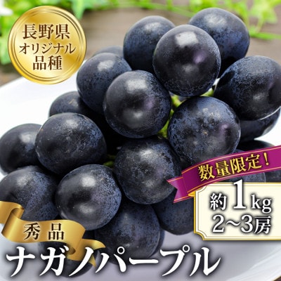 【2026年先行予約】ナガノパープル 約1kg(2～3房 ※最低900g以上)