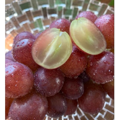 【2026年先行予約】クイーンルージュ 約1kg(2～3房 ※最低900g以上)