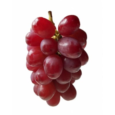 【2026年先行予約】クイーンルージュ 約1kg(2～3房 ※最低900g以上)