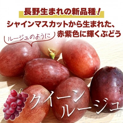 【2026年先行予約】クイーンルージュ(R) 約2kg(4～6房 ※最低1.8kg以上)