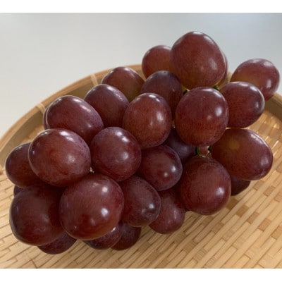 【2026年先行予約】クイーンルージュ 約2kg(4～6房 ※最低1.8kg以上)