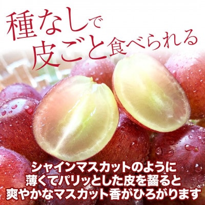 【2026年先行予約】クイーンルージュ(R) 約2kg(4～6房 ※最低1.8kg以上)