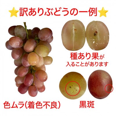 【2026年先行予約】訳あり クイーンルージュ(R) 約2kg(4～6房 ※最低1.8kg以上)