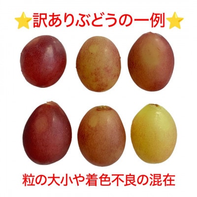 【2026年先行予約】訳あり クイーンルージュ(R) 約2kg(4～6房 ※最低1.8kg以上)