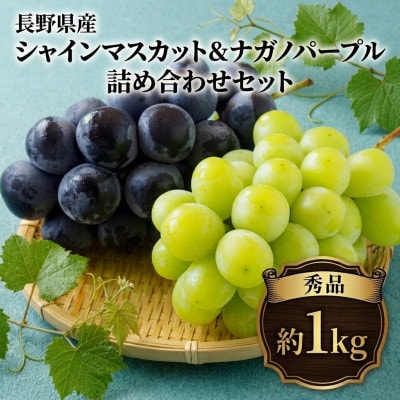 【2026年発送】シャインマスカット&ナガノパープル 詰め合わせセット 約1kg※最低900g以上