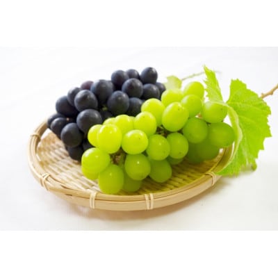 【2026年発送】シャインマスカット&ナガノパープル 詰め合わせセット 約1kg※最低900g以上