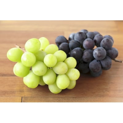 【2026年発送】シャインマスカット&ナガノパープル 詰め合わせセット 約1kg※最低900g以上