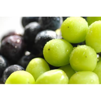 【2026年発送】シャインマスカット&ナガノパープル 詰め合わせセット 約1kg※最低900g以上