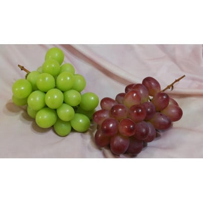 【2026年発送】シャインマスカット&クイーンルージュ 詰め合わせセット 約1kg※最低900g以上