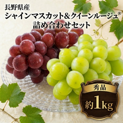 2026年発送　シャインマスカット&クイーンルージュ(R)詰め合わせセット約1kg※最低900g以上