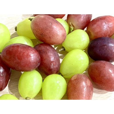 【2026年発送】シャインマスカット&クイーンルージュ 詰め合わせセット 約1kg※最低900g以上