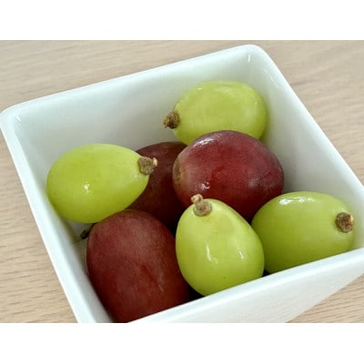 【2026年発送】シャインマスカット&クイーンルージュ 詰め合わせセット 約1kg※最低900g以上