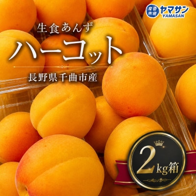 【2026年発送】あんず「ハーコット」生食用 約2kg